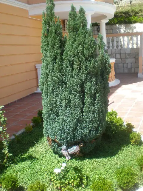 Flat 470m² in Montenegro, Petrovac. Priced at 1500000€ rent photo-17