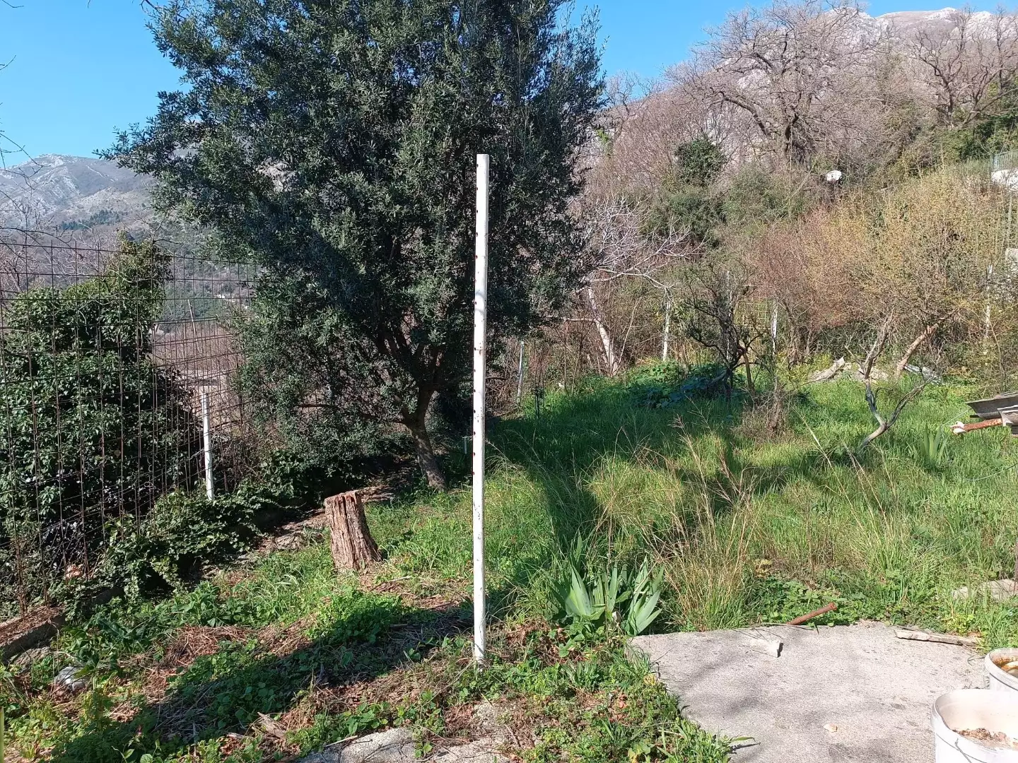 House 116m² in Montenegro, Sutomore. Priced at 145000€ rent photo-15