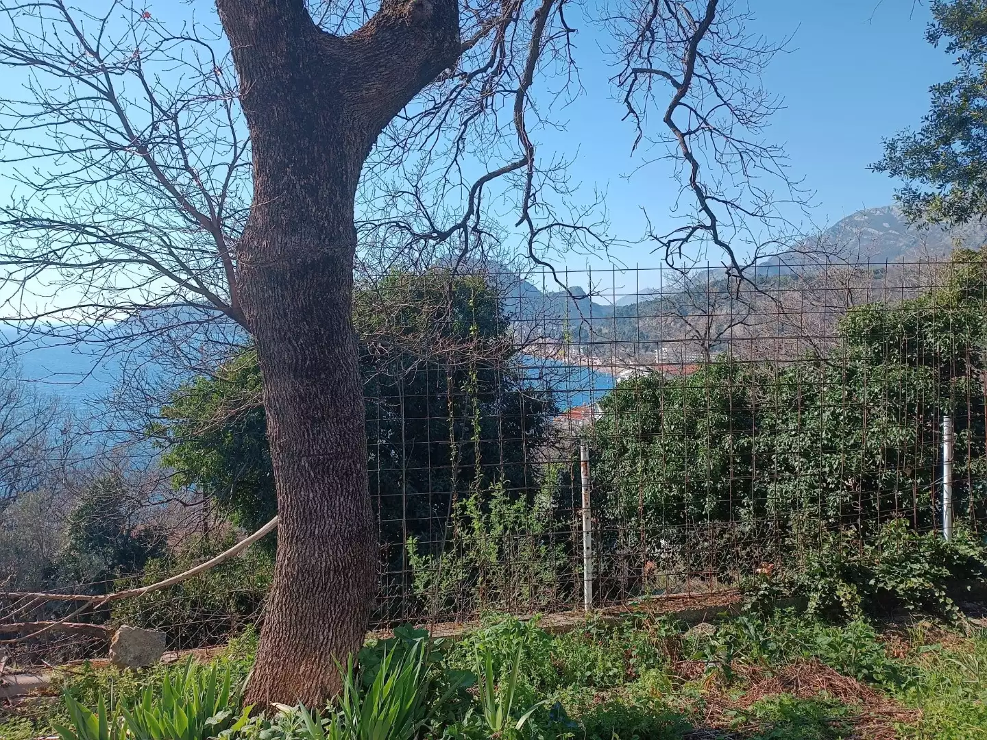 House 116m² in Montenegro, Sutomore. Priced at 145000€ rent photo-17