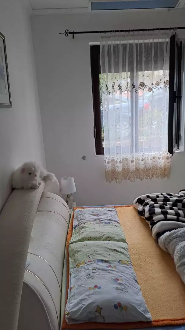 Flat 180m² in Montenegro, Radovici. Priced at 215000€ rent photo-8