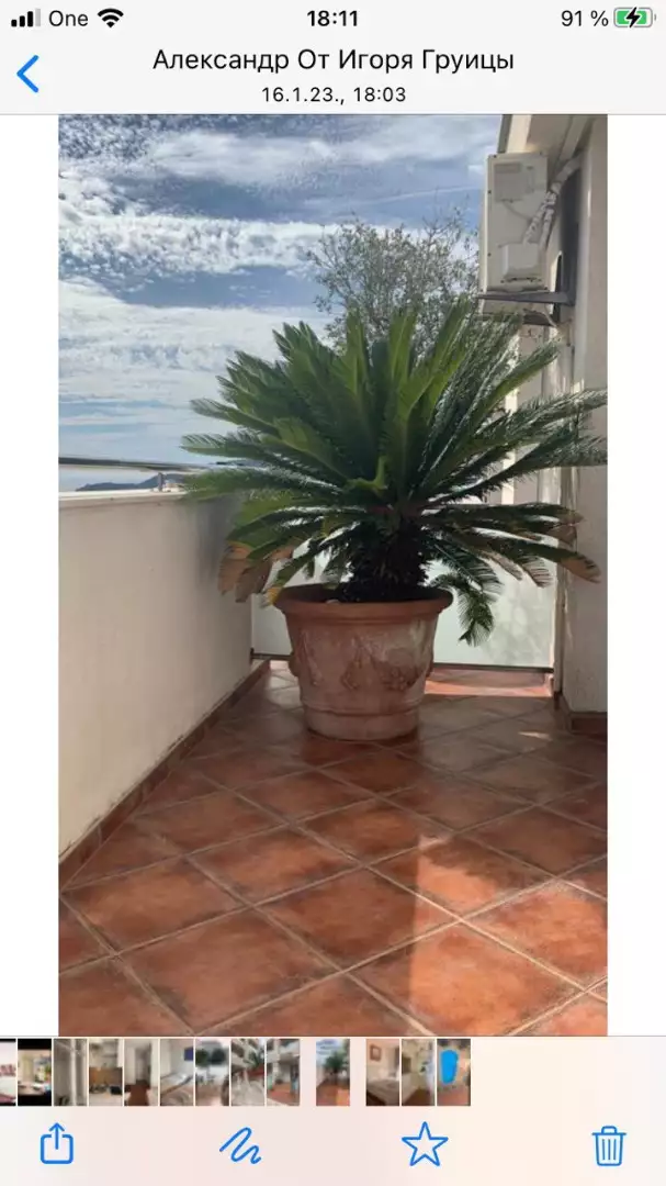 Hotels 1200m² in Montenegro, Becici. Priced at 1800000€ rent photo-26