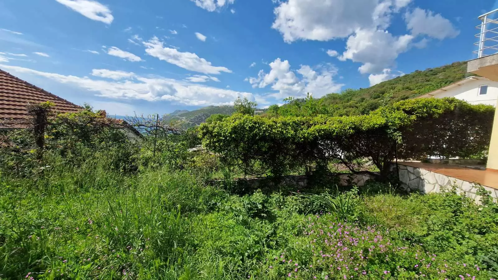 House 379m² in Montenegro, Dobra Voda. Priced at 265000€ rent photo-6