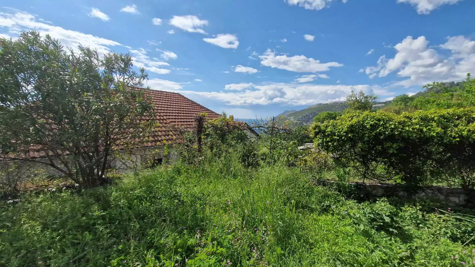 House 379m² in Montenegro, Dobra Voda. Priced at 265000€ rent photo-7