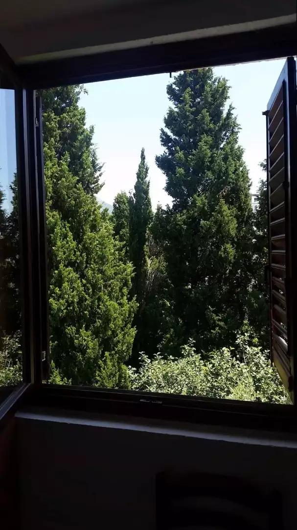 Hotels 192m² in Montenegro, Sutomore. Priced at 210000€ rent photo-9