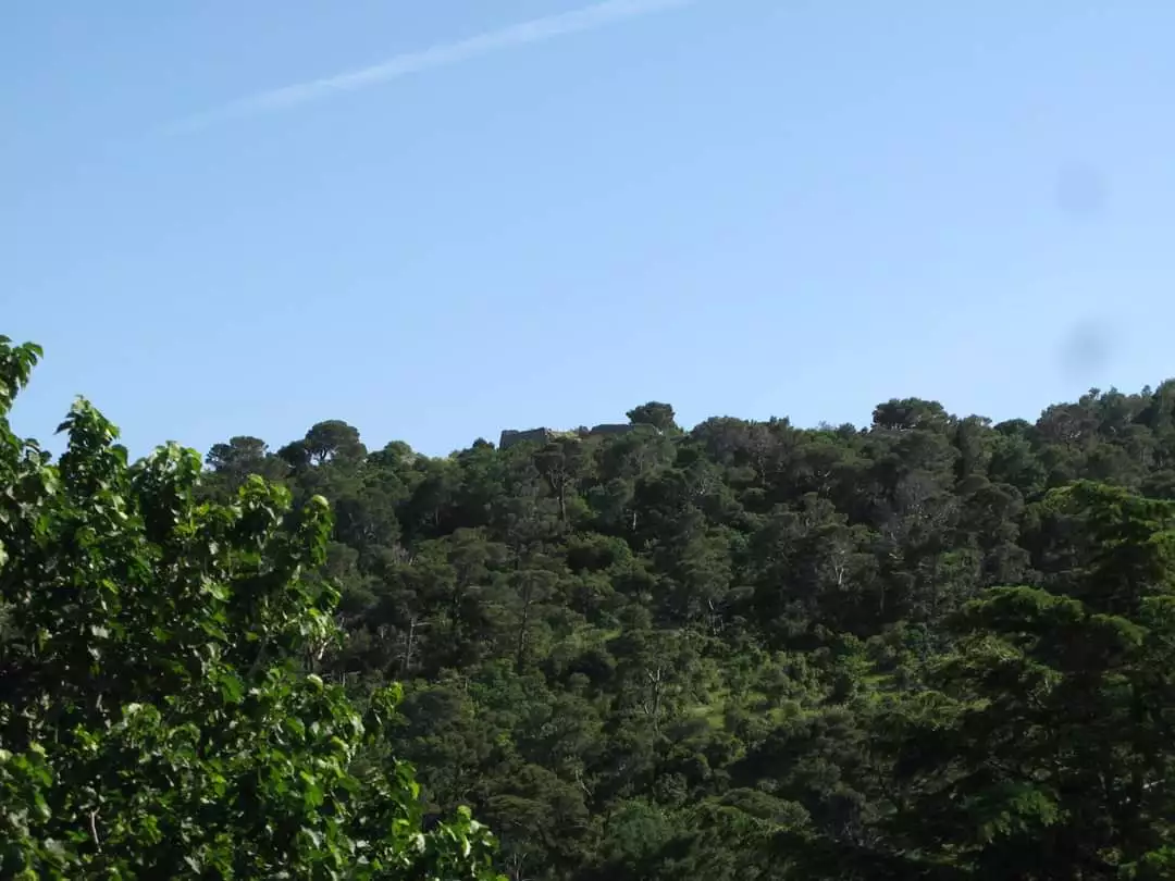 Hotels 192m² in Montenegro, Sutomore. Priced at 210000€ rent photo-20