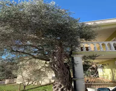 Buy in Montenegro for 380000€
