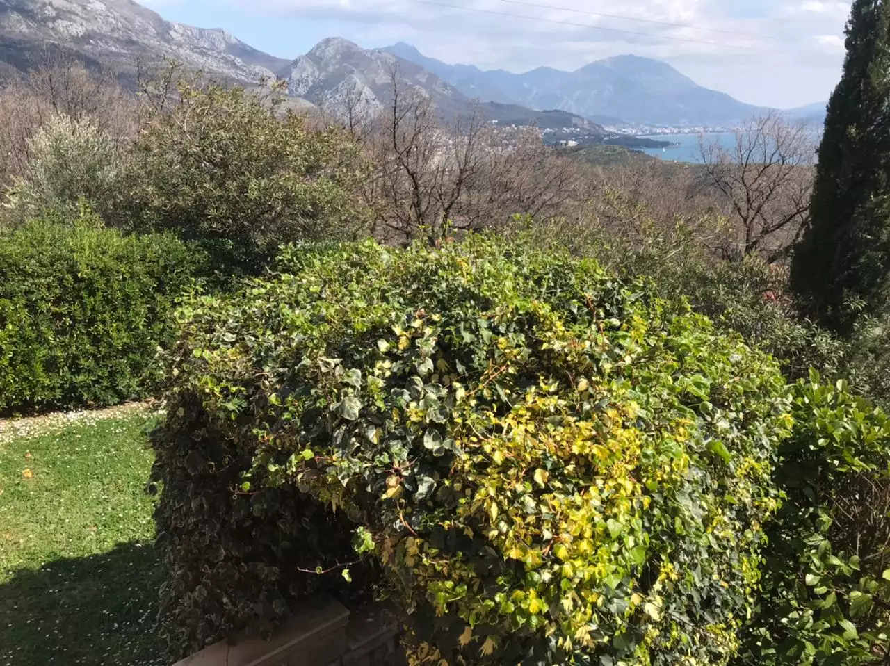 Villa 288m² in Montenegro, Sutomore. Priced at 540000€ rent photo-19
