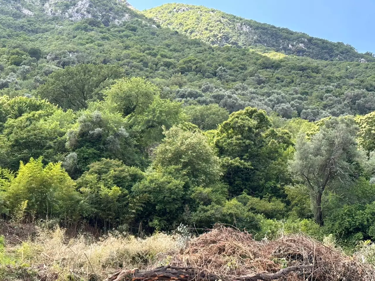 Flat 56m² in Montenegro, Stoliv. Priced at 130000€ rent photo-22