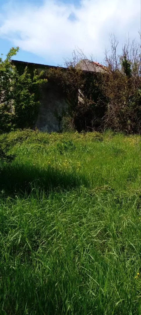 Land 120m² in Montenegro, Bar. Priced at 155000€ rent photo-3