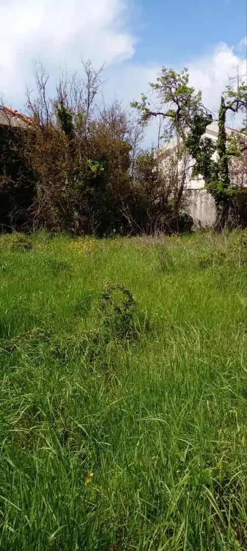 Land 120m² in Montenegro, Bar. Priced at 155000€ rent photo-4