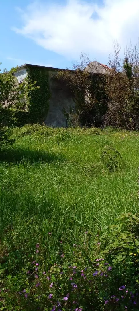 Land 120m² in Montenegro, Bar. Priced at 155000€ rent photo-6