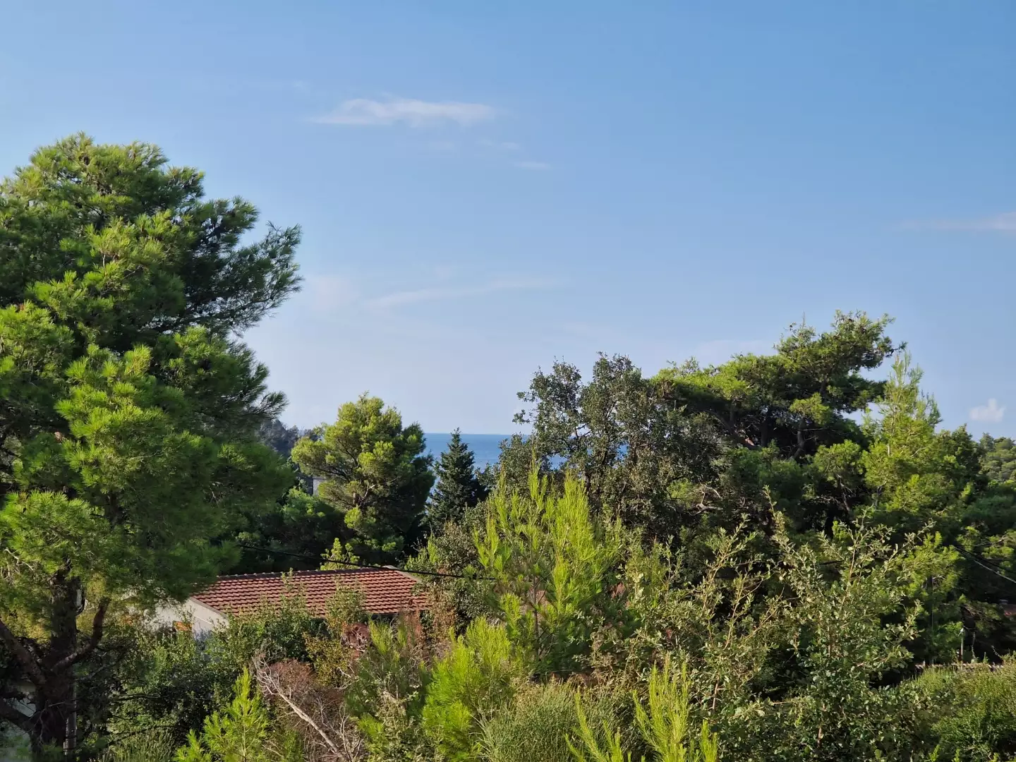 Hotels 360m² in Montenegro, Sutomore. Priced at 315000€ rent photo-4
