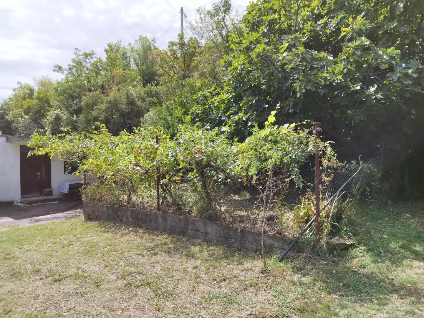 House 46m² in Montenegro, Sutomore. Priced at 67000€ rent photo-15