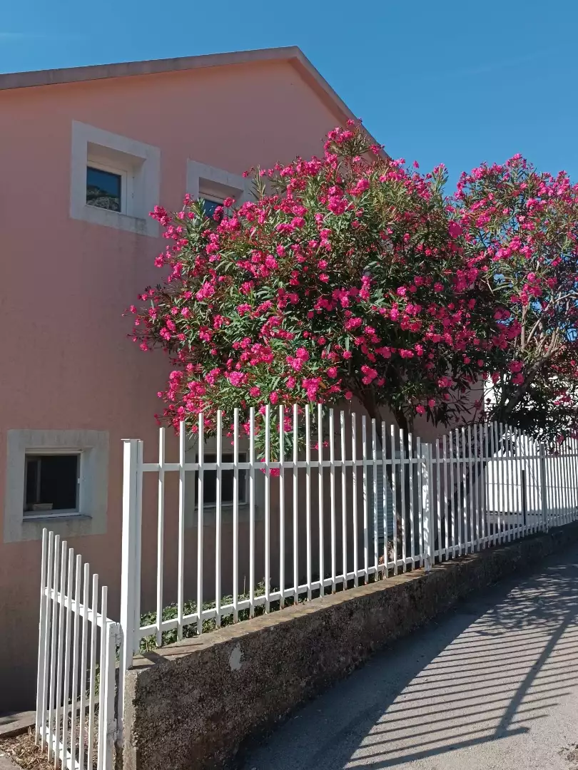 House 97m² in Montenegro, Bar. Priced at 175000€ rent photo-27