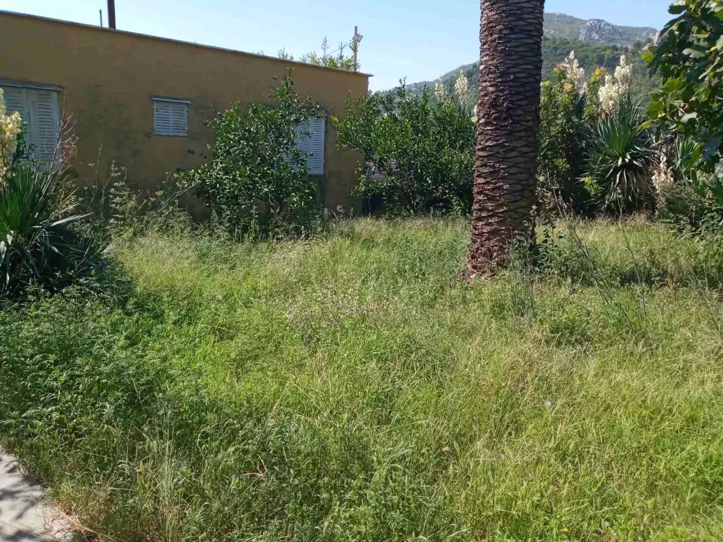 House 84m² in Montenegro, Sutomore. Priced at 127000€ rent photo-6
