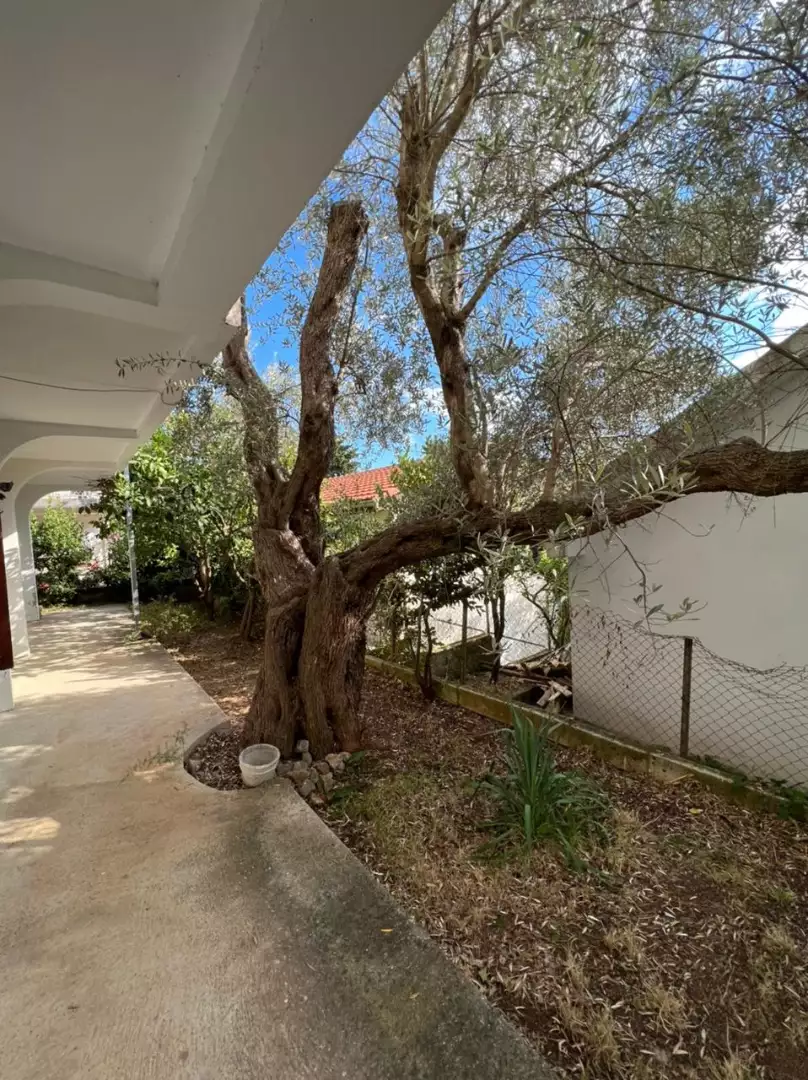 House 219m² in Montenegro, Dobra Voda. Priced at 192600€ rent photo-9