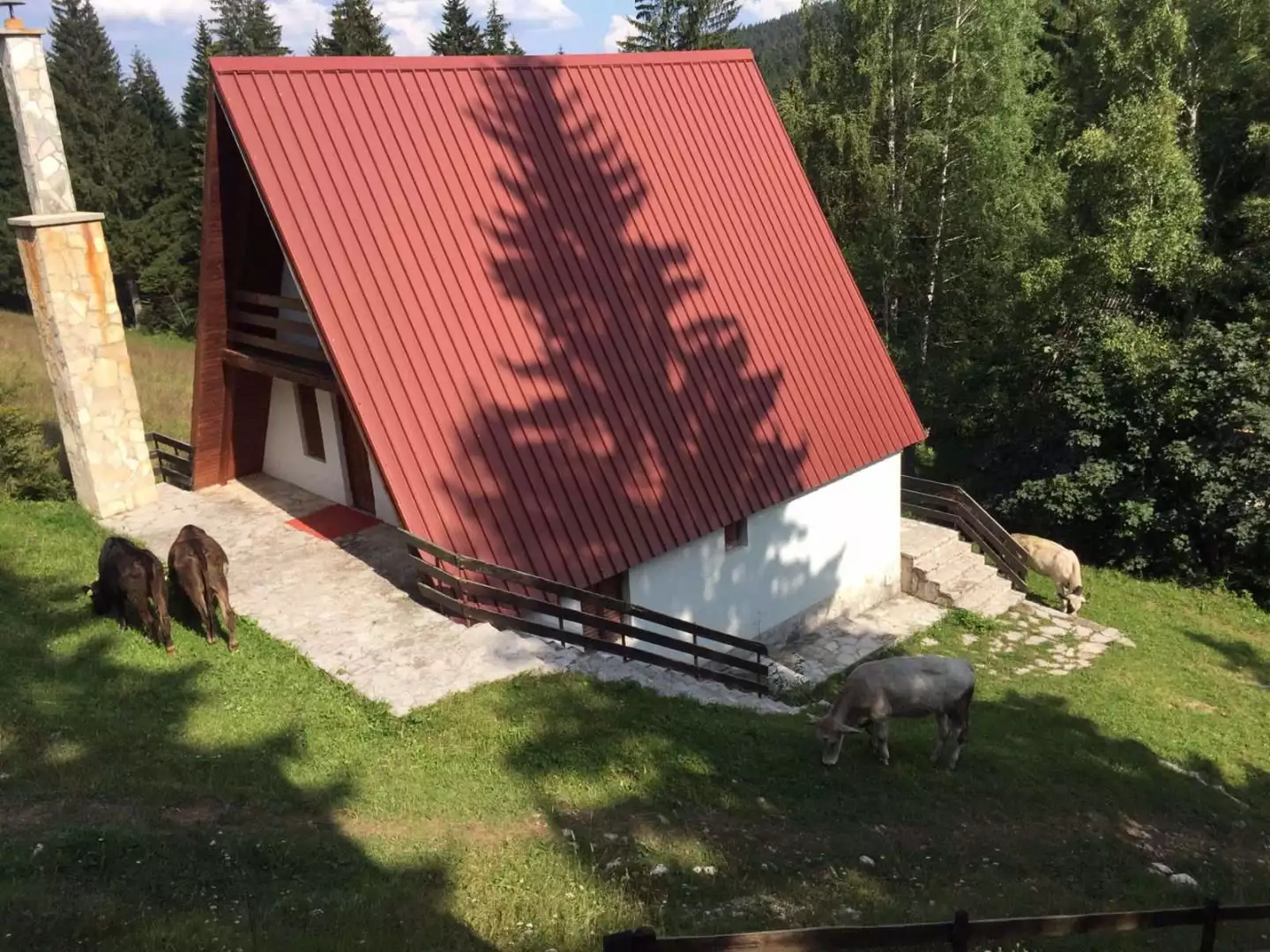 House 140m² in Montenegro, Zabljak. Priced at 140000€ rent photo-4