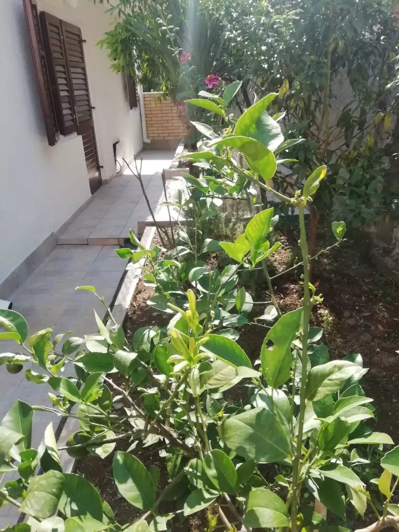 Flat 30m² in Montenegro, Igalo. Priced at 90000€ rent photo-8