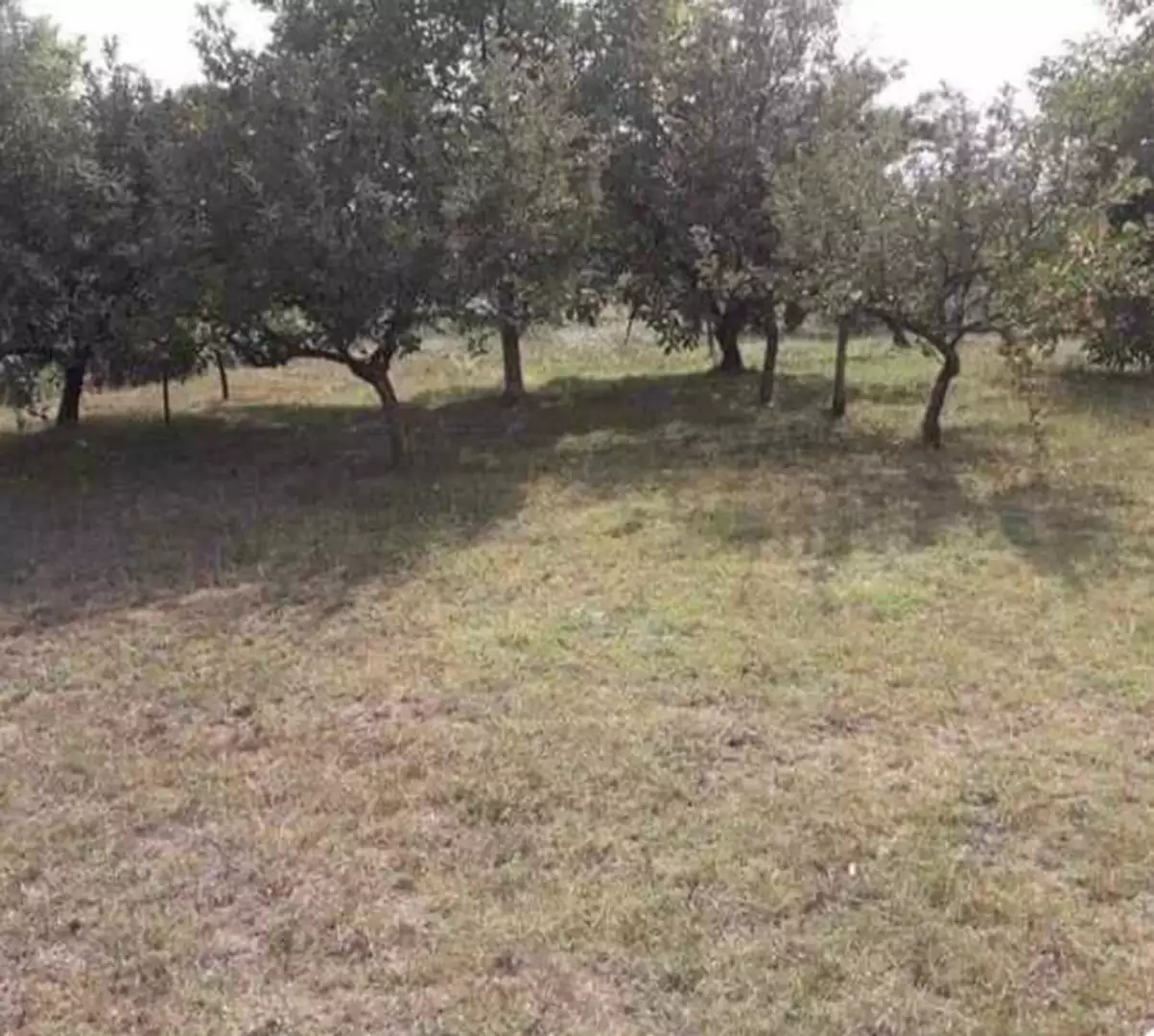 House 100m² in Montenegro, Danilovgrad. Priced at 90000€ rent photo-3