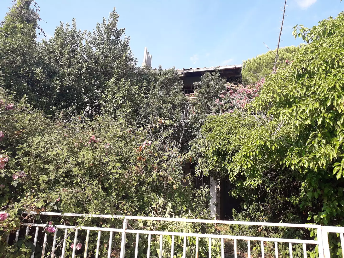 House 150m² in Montenegro, Dobra Voda. Priced at 600000€ rent photo-5