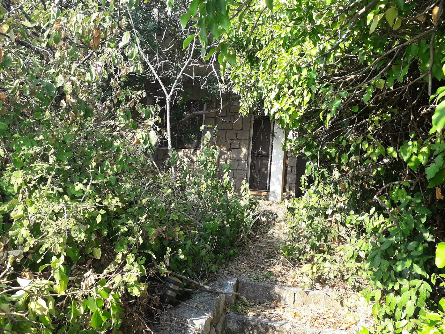 House 150m² in Montenegro, Dobra Voda. Priced at 600000€ rent photo-6
