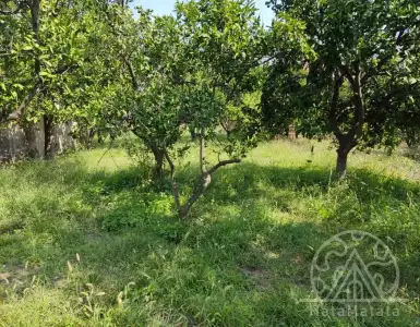 Buy in Montenegro for 75000€