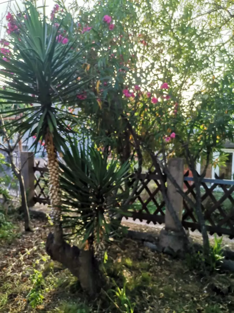 House 100m² in Montenegro, Dobra Voda. Priced at 120000€ rent photo-6