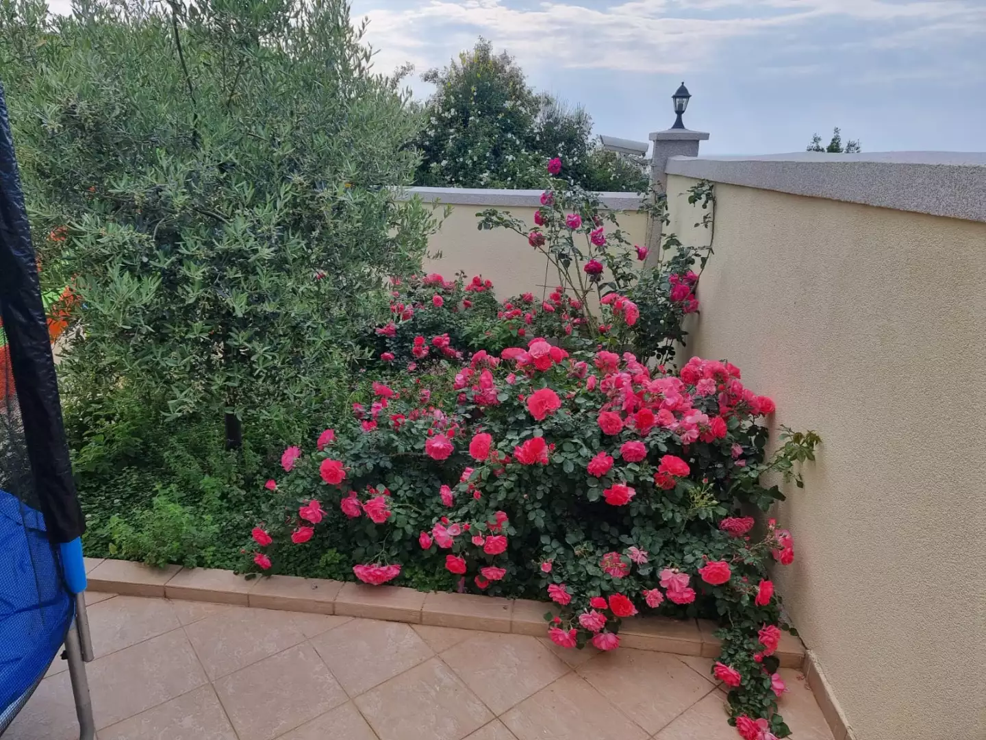 Villa 330m² in Montenegro, Utjeha. Priced at 880000€ rent photo-17