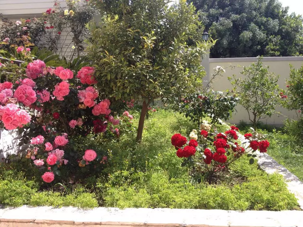 Villa 330m² in Montenegro, Utjeha. Priced at 880000€ rent photo-21