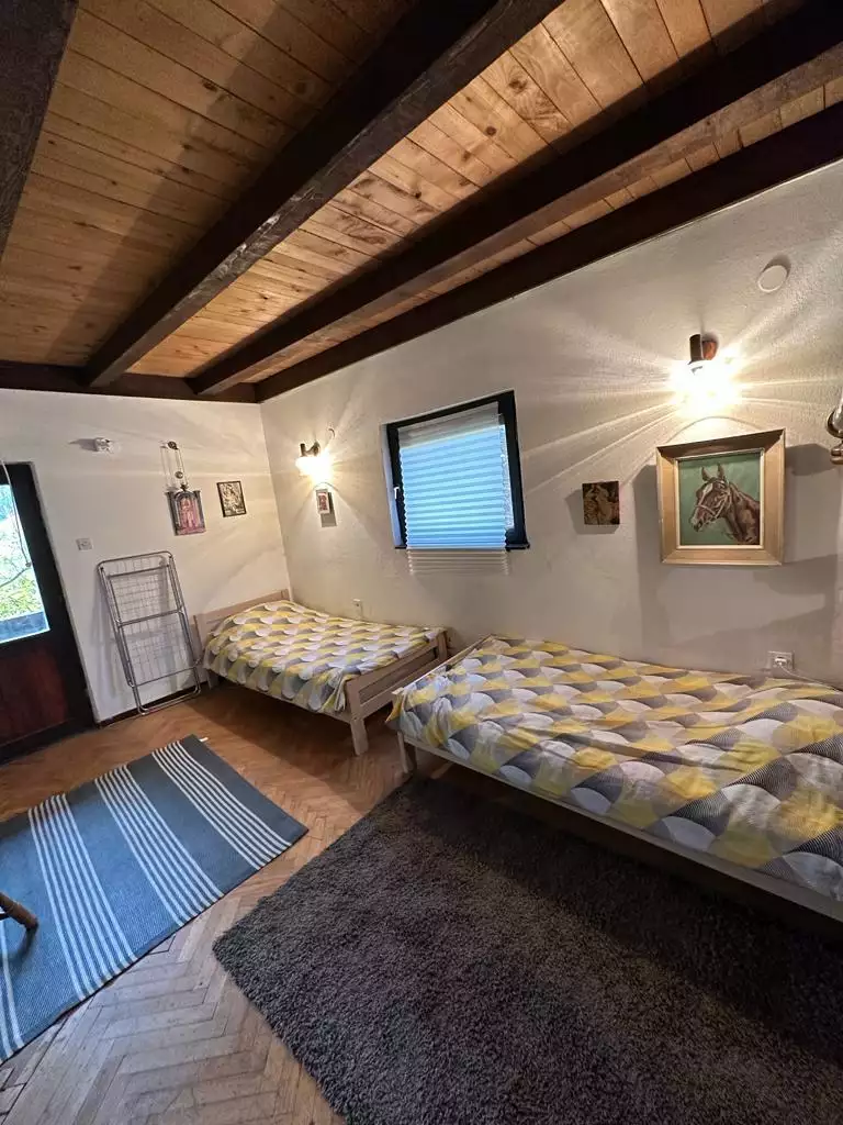 House 110m² in Montenegro, Kolasin. Priced at 160000€ rent photo-8