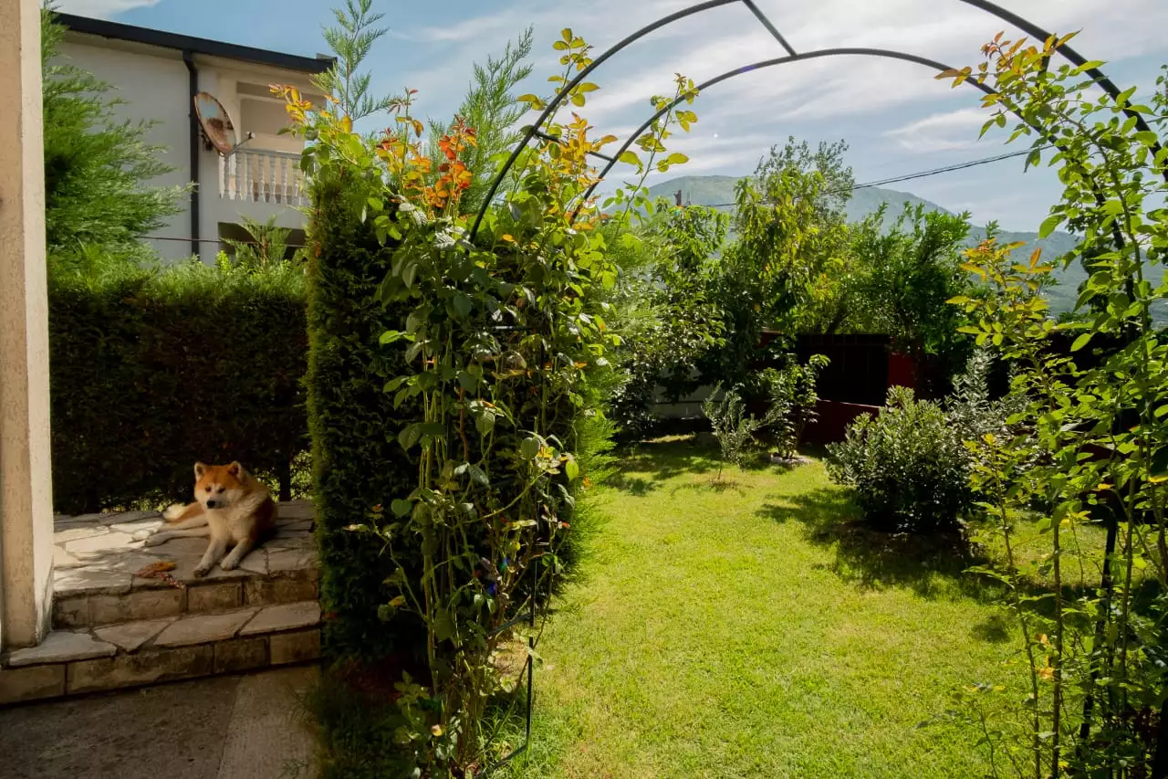 House 180m² in Montenegro, Bar. Priced at 238000€ rent photo-13