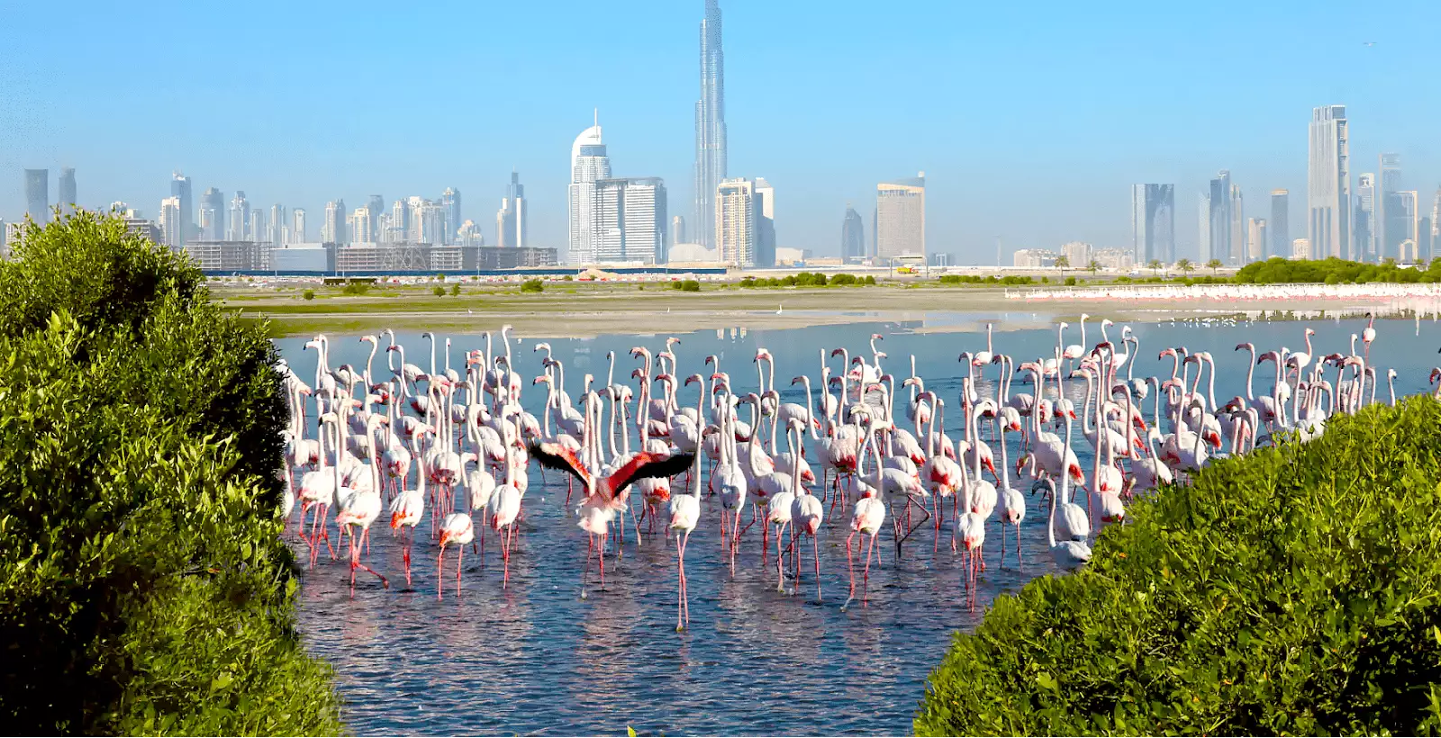 Flat 51m² in UAE, Dubai. Priced at 375142€ rent photo-4
