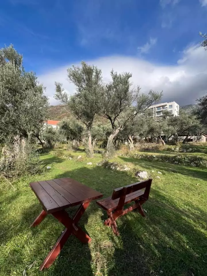 Flat 51m² in Montenegro, Becici. Priced at 130000€ rent photo-1