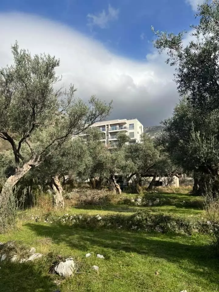 Flat 51m² in Montenegro, Becici. Priced at 130000€ rent photo-2