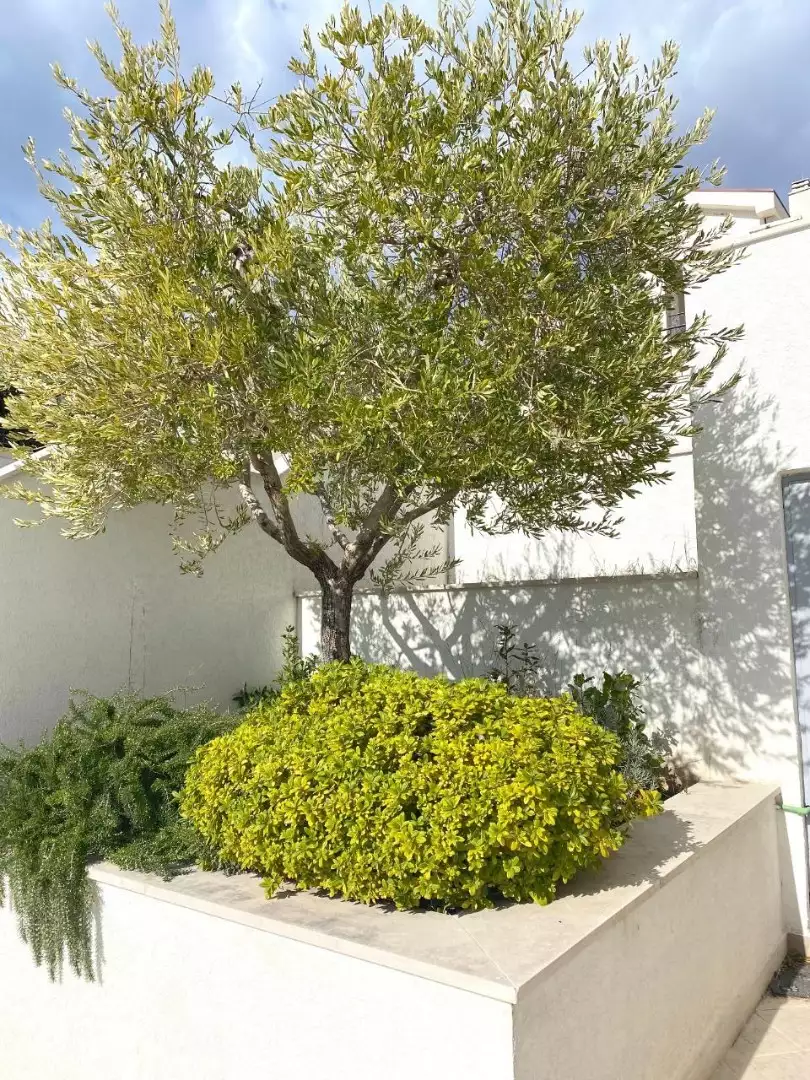 House 200m² in Montenegro, Budva. Priced at 550000€ rent photo-16