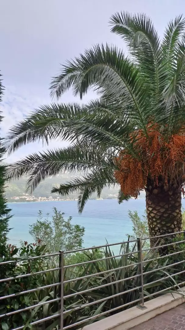 Flat 77m² in Montenegro, Budva. Priced at 280000€ rent photo-29