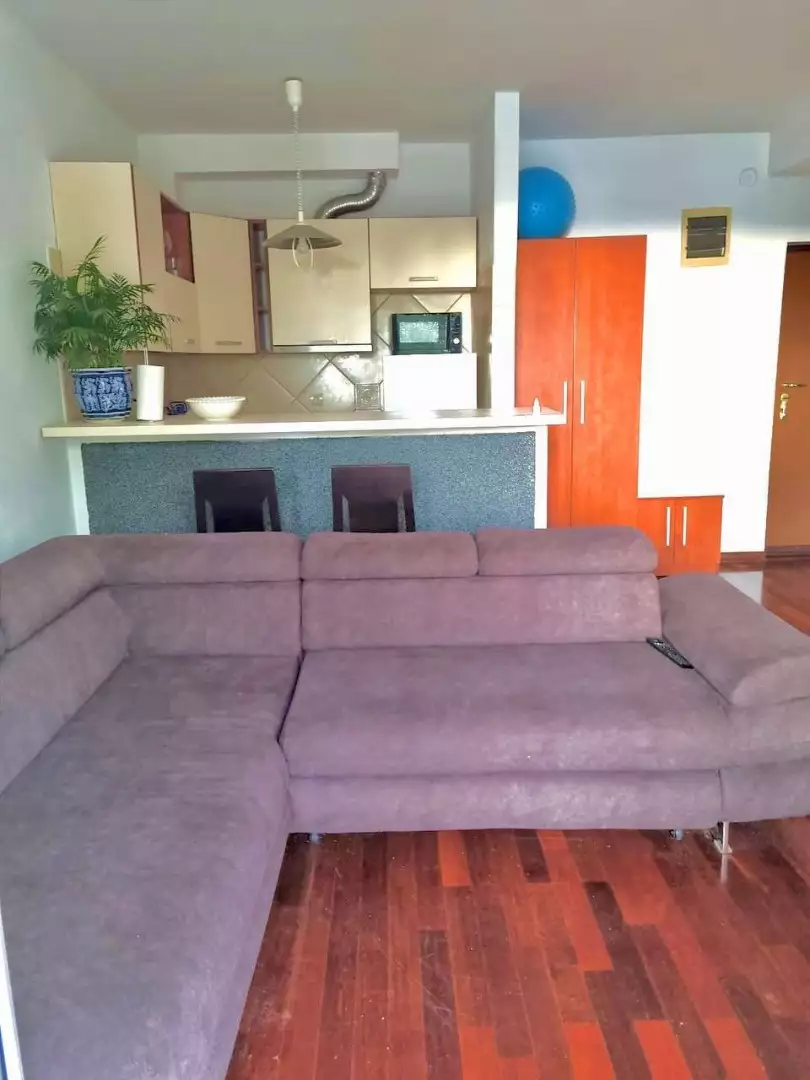 Flat 50m² in Montenegro, Petrovac. Priced at 99000€ rent photo-5