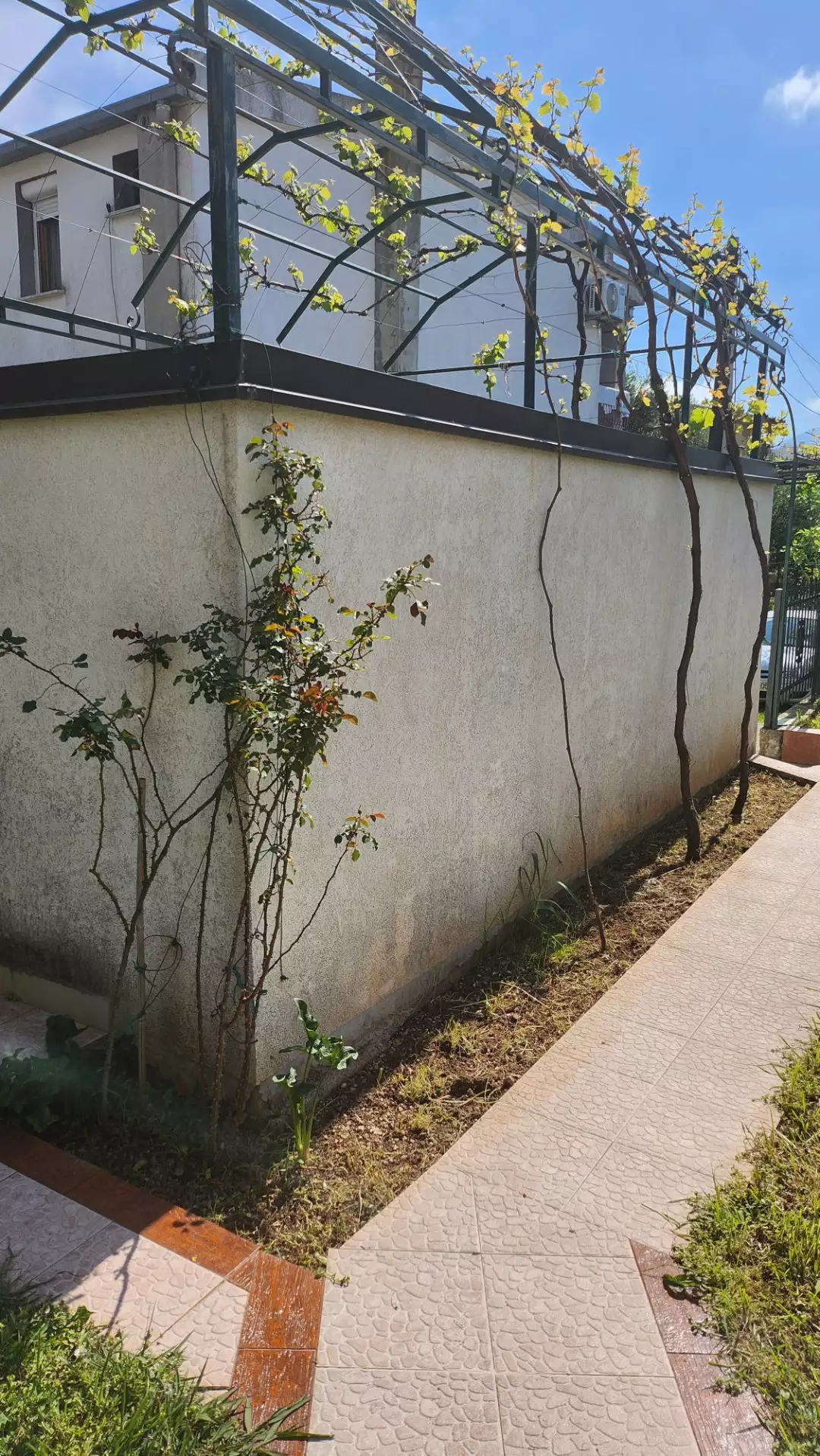 House 137m² in Montenegro, Sutomore. Priced at 210000€ rent photo-5