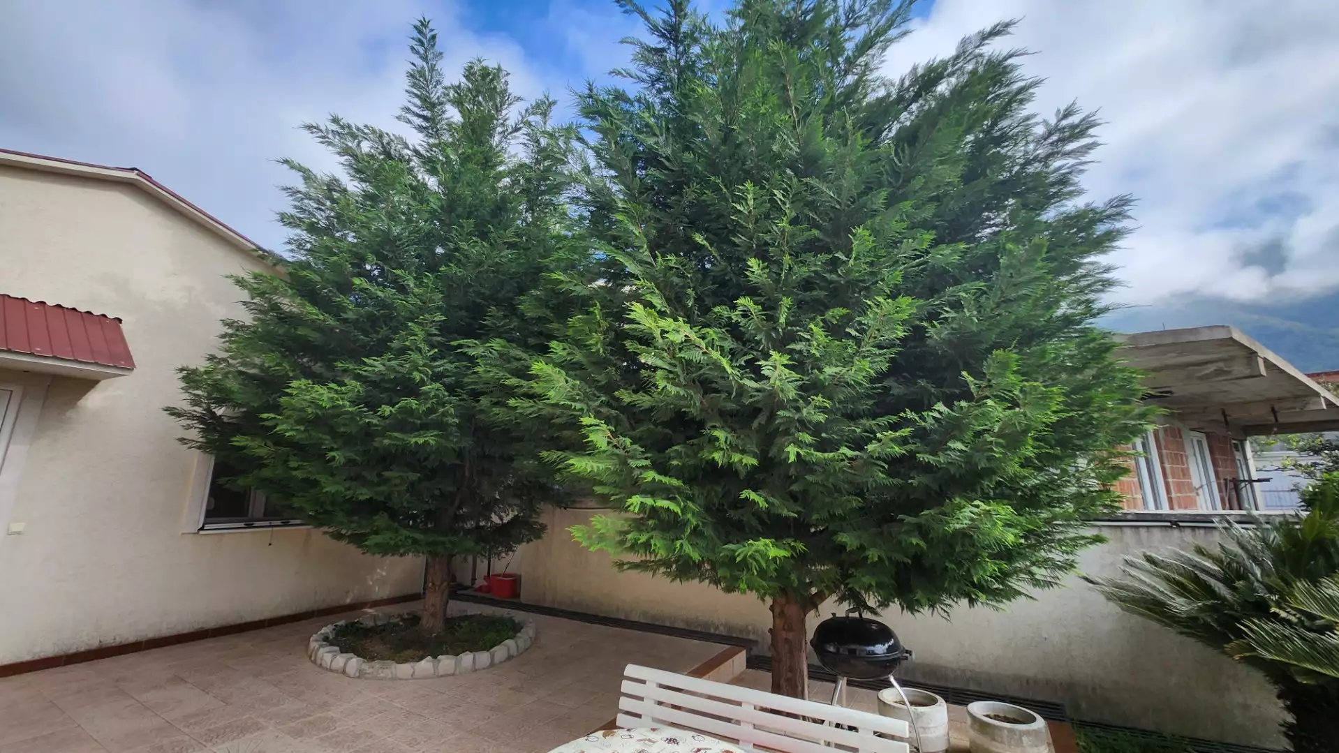 House 137m² in Montenegro, Sutomore. Priced at 210000€ rent photo-9