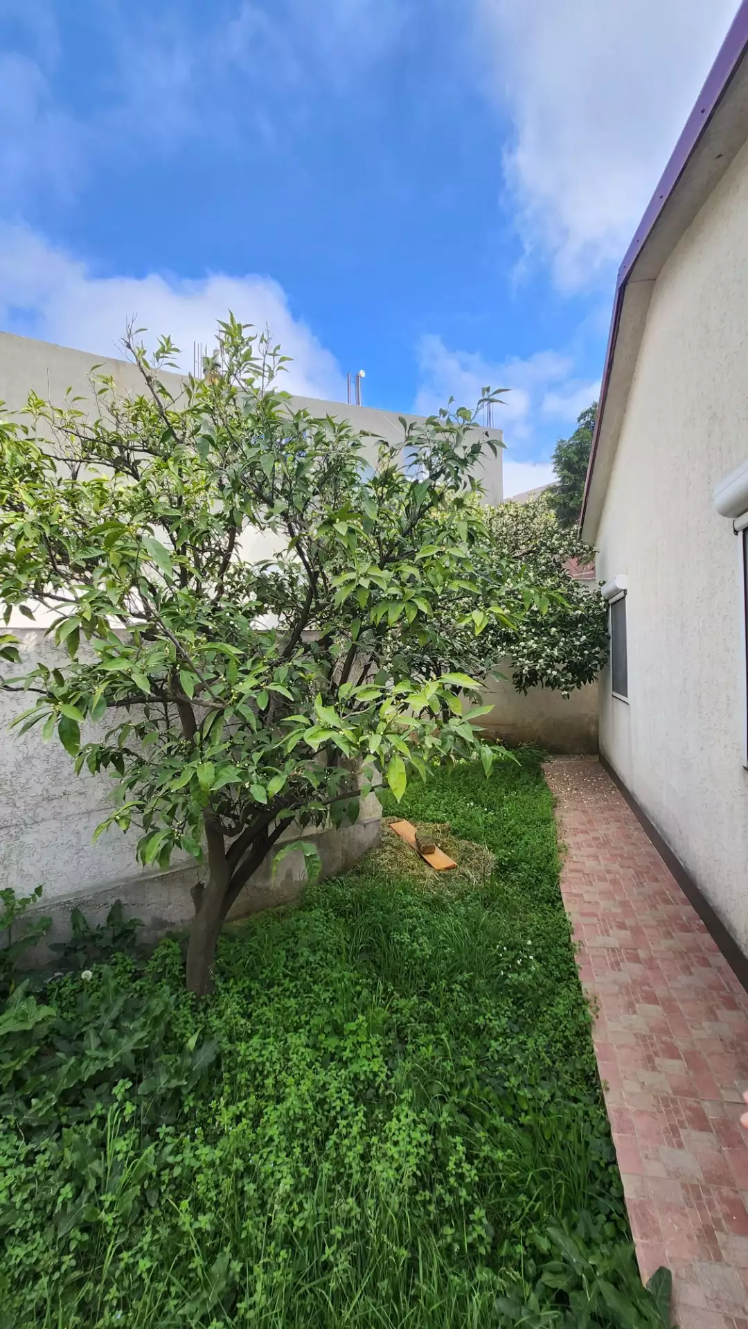 House 137m² in Montenegro, Sutomore. Priced at 210000€ rent photo-6