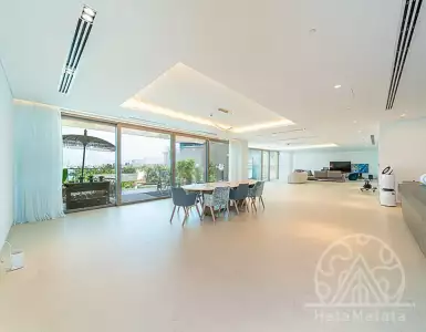 Buy in UAE for 8808191€