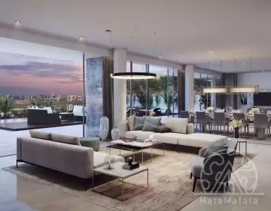 Buy in UAE for 9988620€