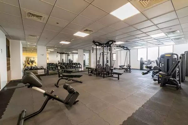 Flat 333m² in UAE, Dubai. Priced at 2746870€ rent photo-14