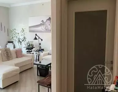 Buy in UAE for 849033€