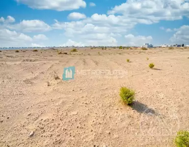 Buy in UAE for 2996586€