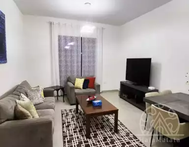 Buy in UAE for 246629€