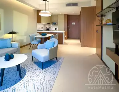 Buy in UAE for 826207€