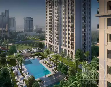 Buy in UAE for 815071€