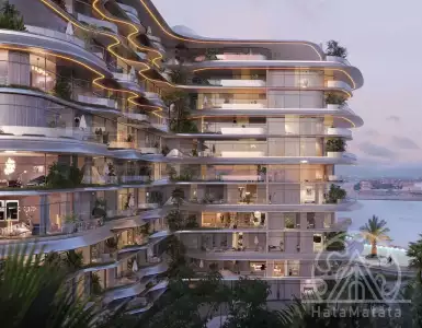 Buy in UAE for 2085233€
