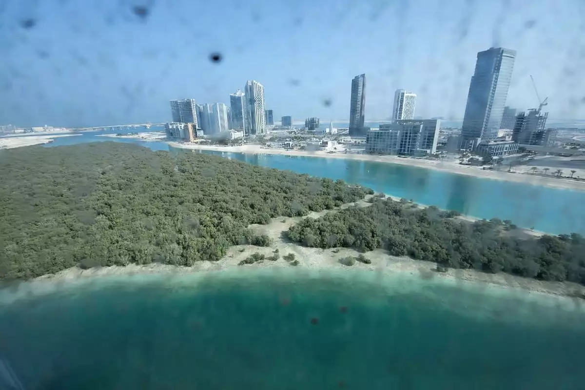 Flat 88m² in UAE, Abu Dhabi. Priced at 216225€ rent photo-3